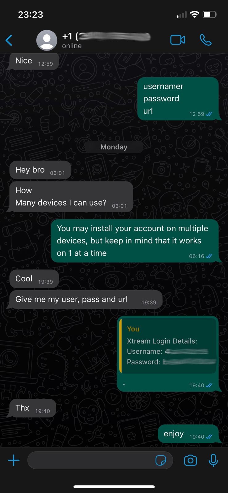 WhatsApp Image 2023-06-02 at 23.27.51